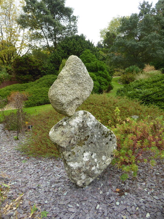 Garden_10.JPG