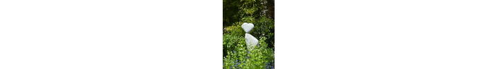 Garden_12.JPG