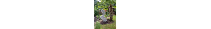 Garden_2.JPG