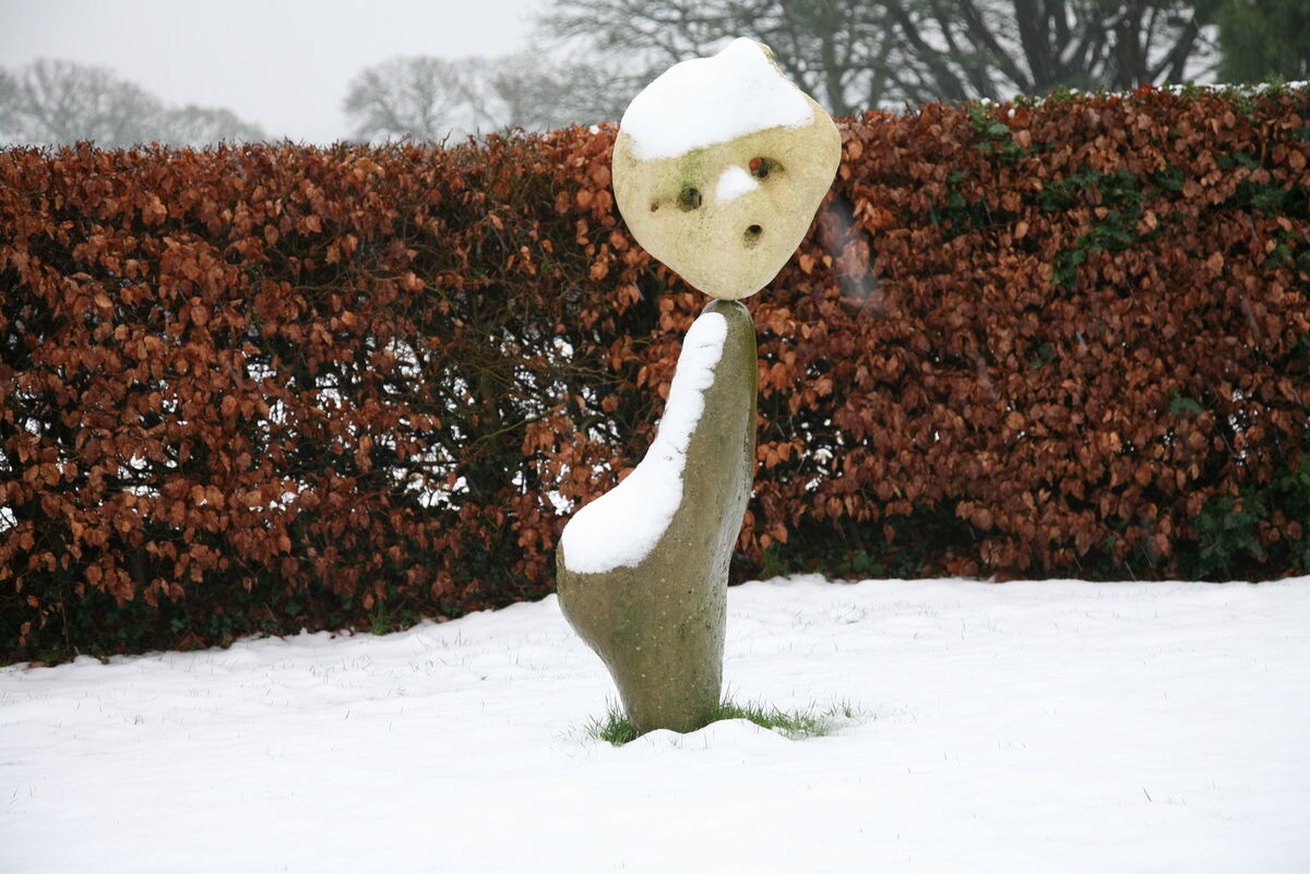 Garden_7.JPG