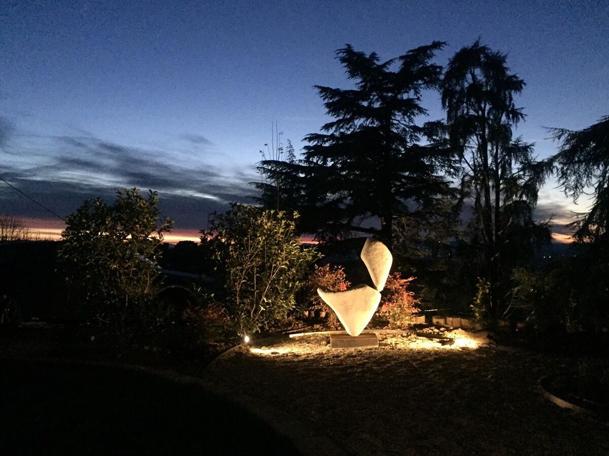 Garden_8.jpg