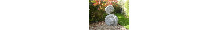 Garden_9.JPG
