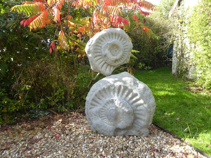 Garden_9.JPG