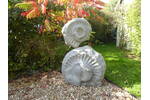 Garden_9.JPG