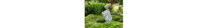 Garden_Revealed-In-Time.JPG