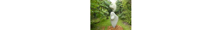 Garden_Under-the-Moon.JPG
