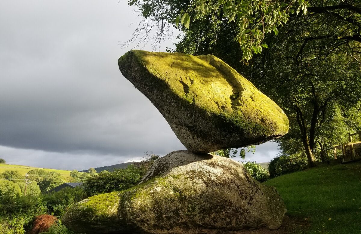 The Admiral 2022 - Copy.jpg