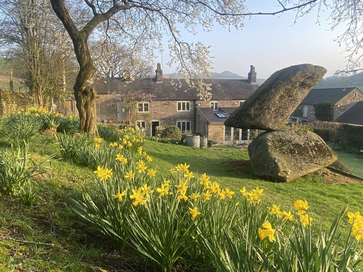 The admiral in spring.jpg